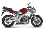 2 silencieux Akrapovic
