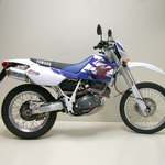 TT600R Silencieux Leovince