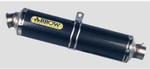 2 Silencieux Arrow carbone