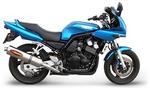 Silencieux Akrapovic titane