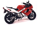 Silencieux BSM carbone ovale