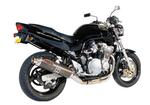 Sil Ninja Superbike carbone