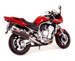 FZS Fazer silencieux Bos carbone