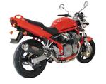 Sil Ninja Supersport carbone