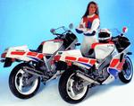 FZR600 Silencieux BSM inox