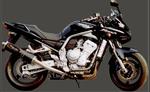 FZS Fazer sil Marving carbone