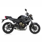 XJ6 Ligne Leovince Underbody
