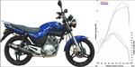 YBR125 Ninja NSCS Carbone