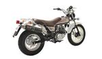 Silencieux Devil Racer carbone