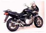 Diversion 900 silencieux BSM
