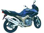 TDM 900 sil Remus Revolution alu