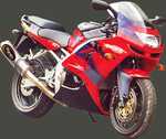 MARVING OVALE CARBONE