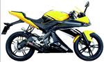 Scorpion Premium carbone YZF125R