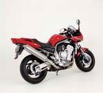 FZS Fazer silencieux Bos alu