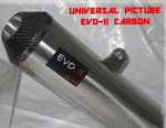 1/1 ENDY EVO-II INOX + carb